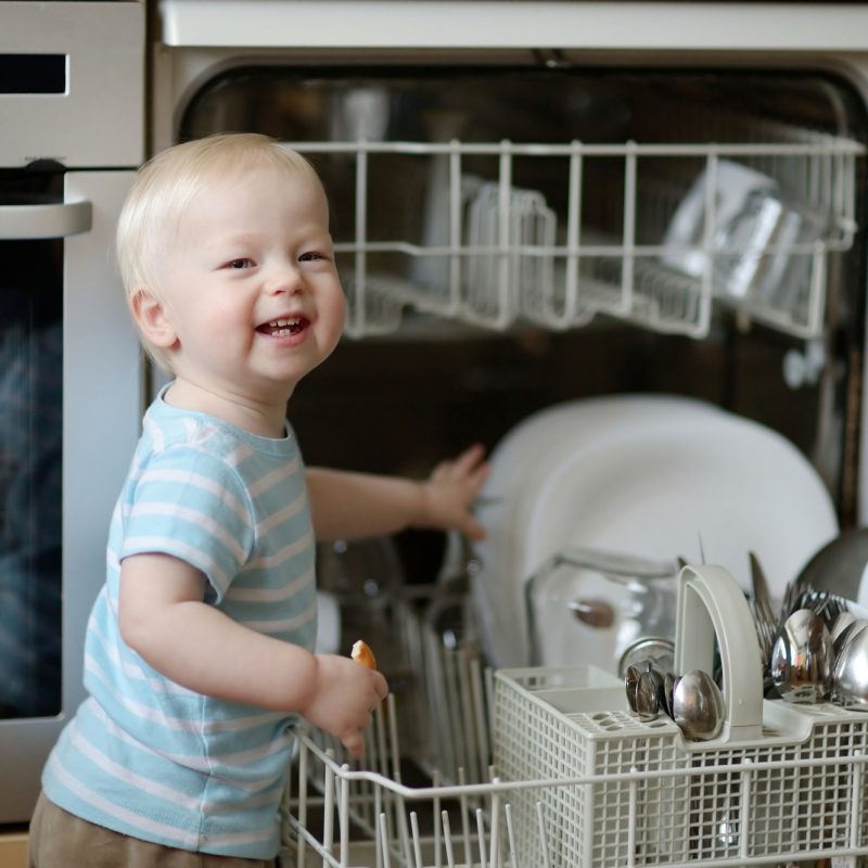 Common information about dishwashers